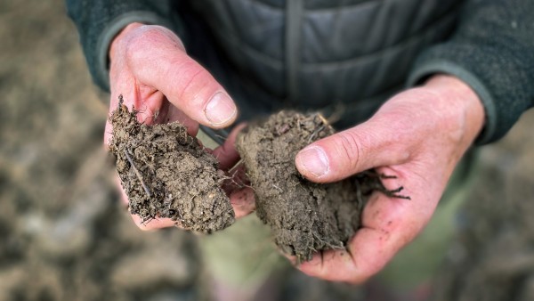Wissenschaftler haben Bürger dazu gebracht, zu spielen und zu malen, damit sie verstehen, warum es wichtig ist, unsere zunehmend schlechter werdende Erde zu retten.