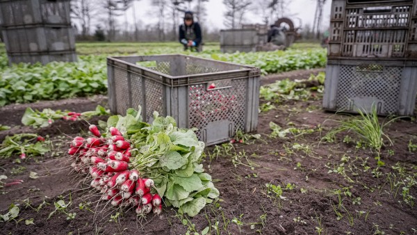 Obvykle ekologové přijímají zpřísněné environmentální požadavky - ale zde musíme varovat před důsledky.