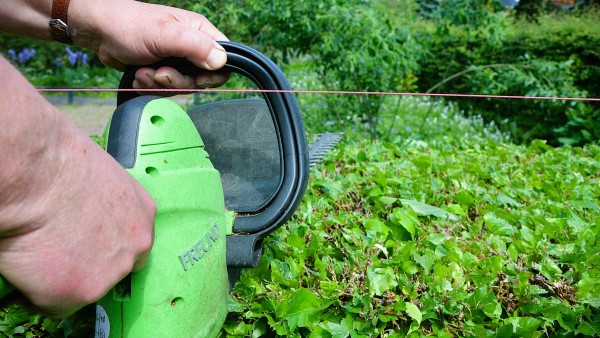 Haveselskabet advises Danes to scrap the old recommendation about the hedge