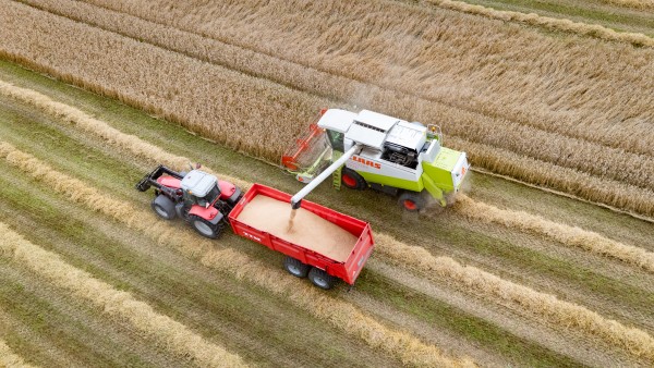 Ökologische Landwirtschaft erhält deutliche wirtschaftliche Unterstützung – Milchproduzenten verdreifachen ihre Ergebnisse
