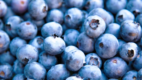 Test: Bio-Heidelbeeren enthalten die meisten wichtigen Antioxidantien und keine Pestizidrückstände