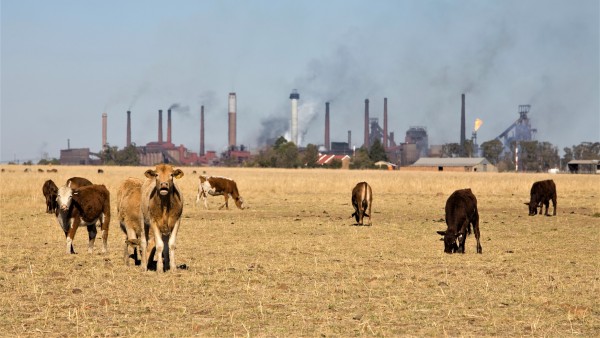 Agricultural giants have been throwing around climate goals - but the vast majority are empty promises, shows an analysis.