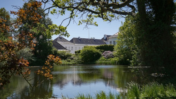 Dronning Ingrids ikoniske blomst blomstrer stadig i Den Kongelige Køkkenhave, hvor alt dyrkes økologisk