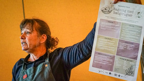 Výherce s čtyřmi tipy: Jak dostat více luštěnin do jídla v kuchyních