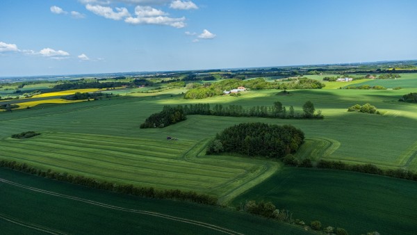 Organizațiile Tİ vor să pună capăt sprijinului pasiv al UE pentru agricultură