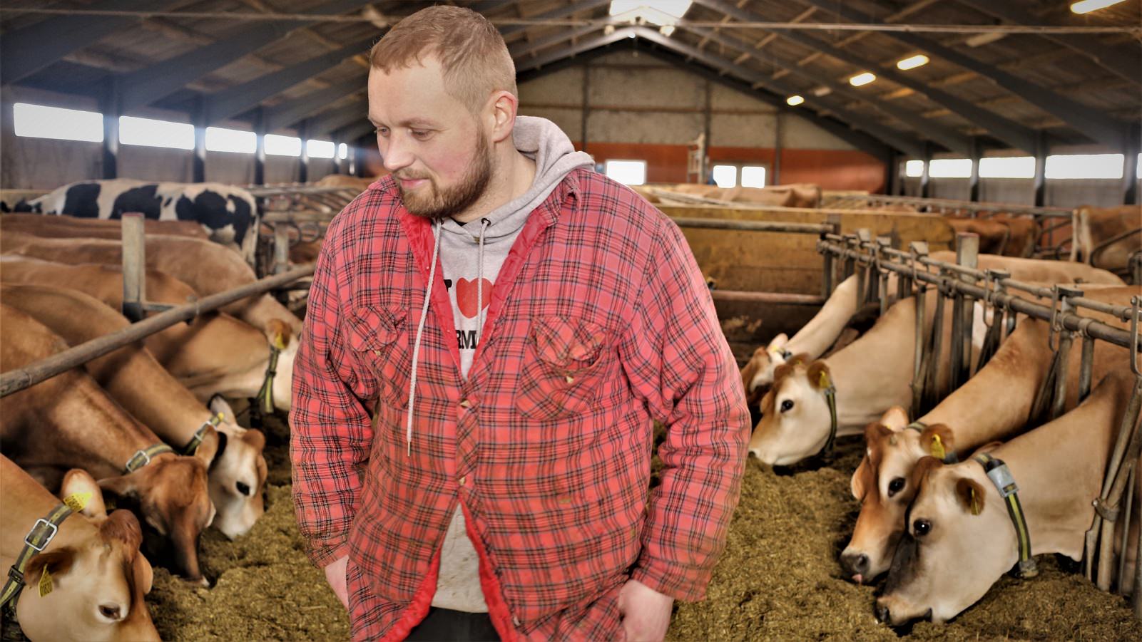 Frederik Uhre står i sin stald med køerne i baggrunden