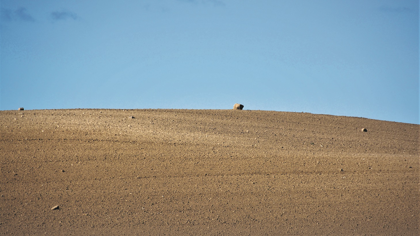 Billede af en ørken