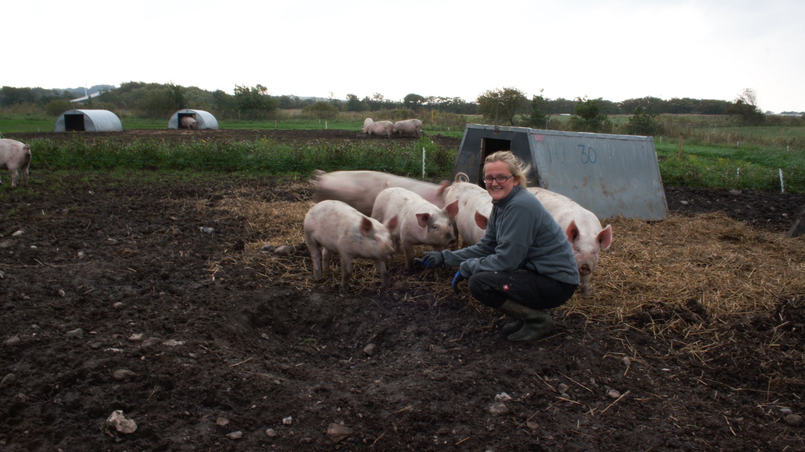 Trine Sund Kammersgaard med grise