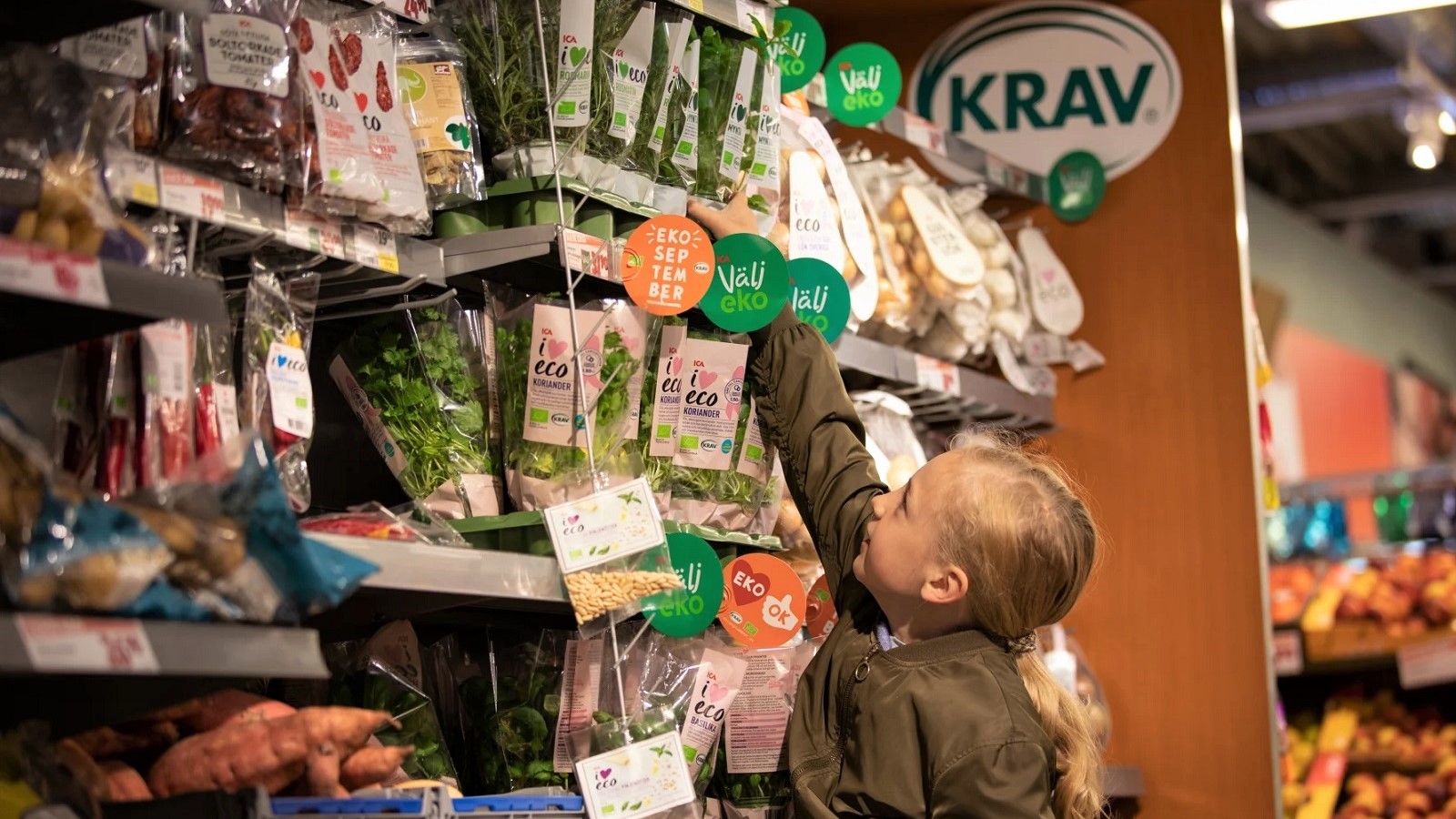 Barn rækker ud efter krydderurter i svensk butik