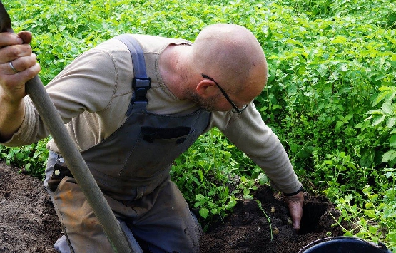 Syrengarden_Morten-Jensen.jpg