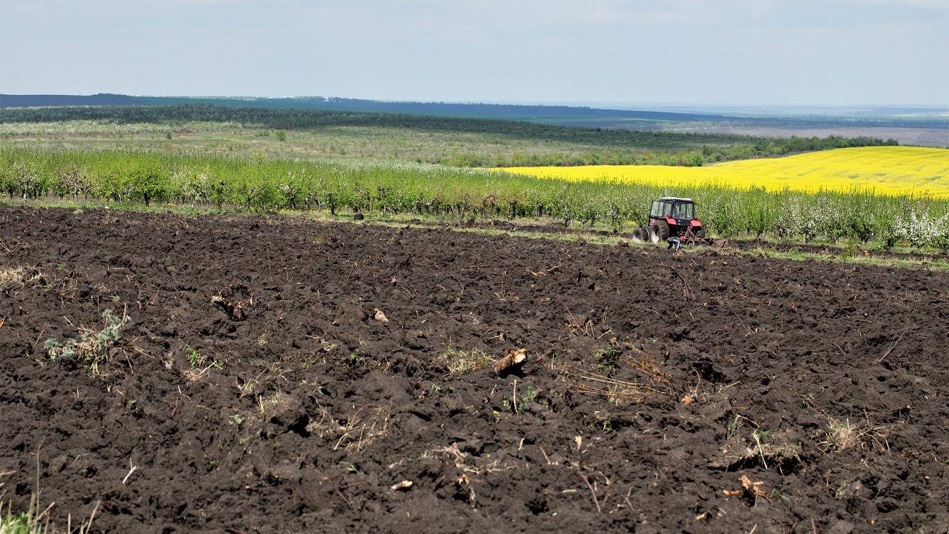 traktor-kalkning-plov-jord---colourbox_web.jpg