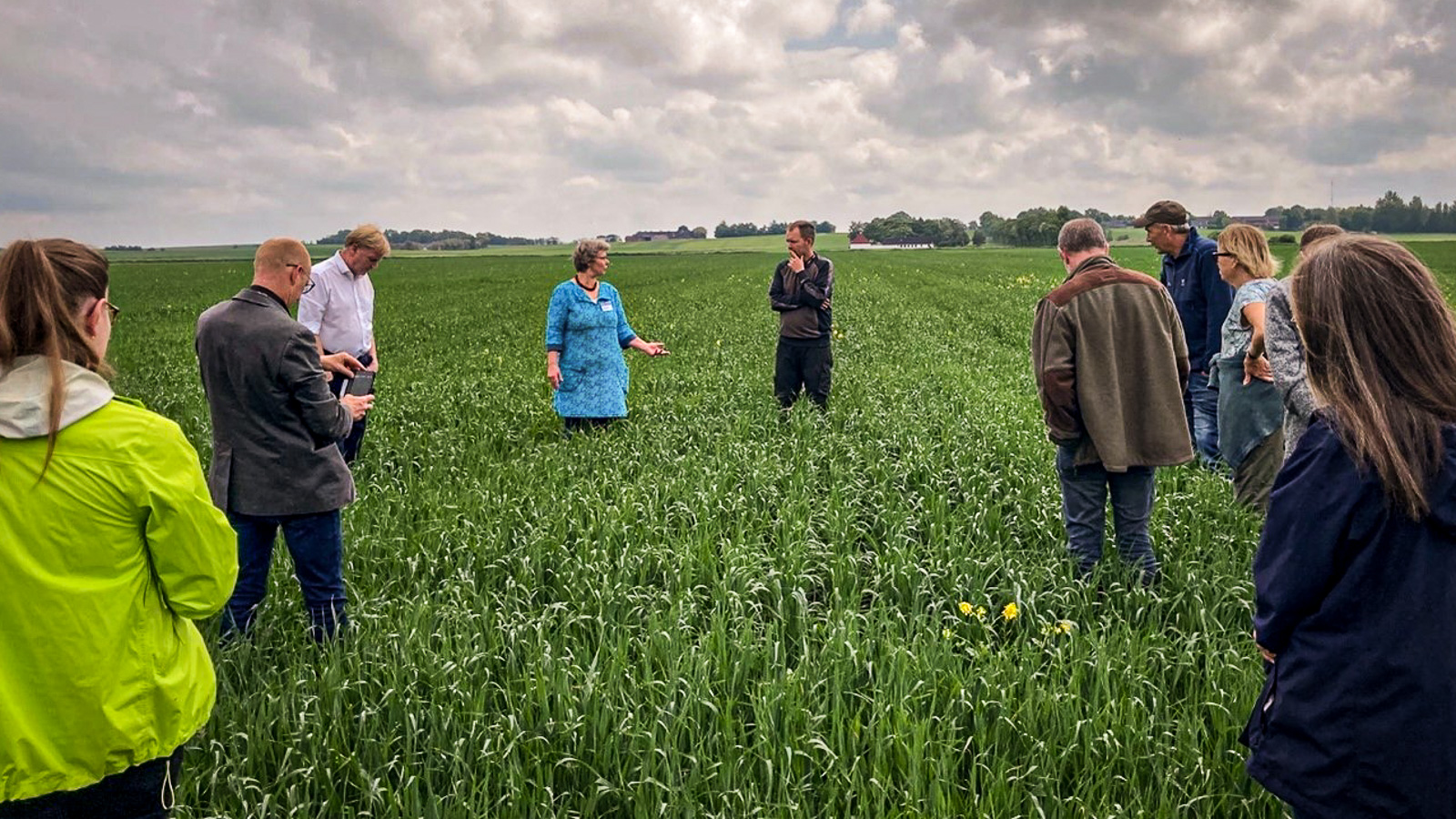 Gæsterne blev vist rundt på markerne for at se, hvordan der arbejdes med at højne biodiversiteten fx ved hjælp af vilde urter