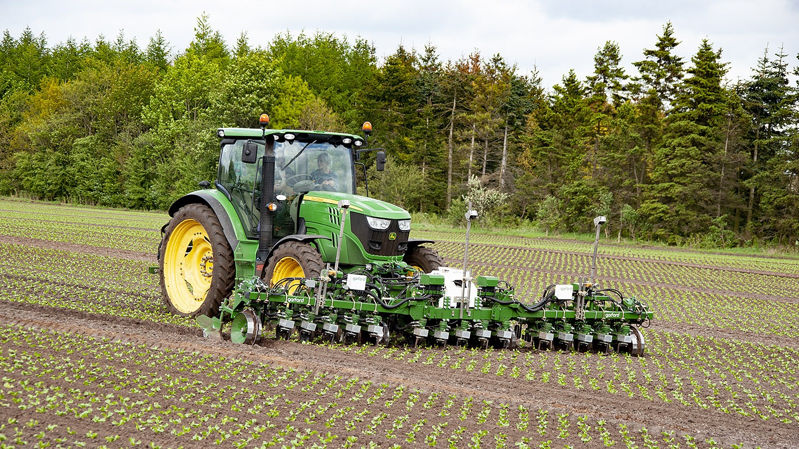 En traktør kører over en salatmark. I baggrunden ses en række træer.