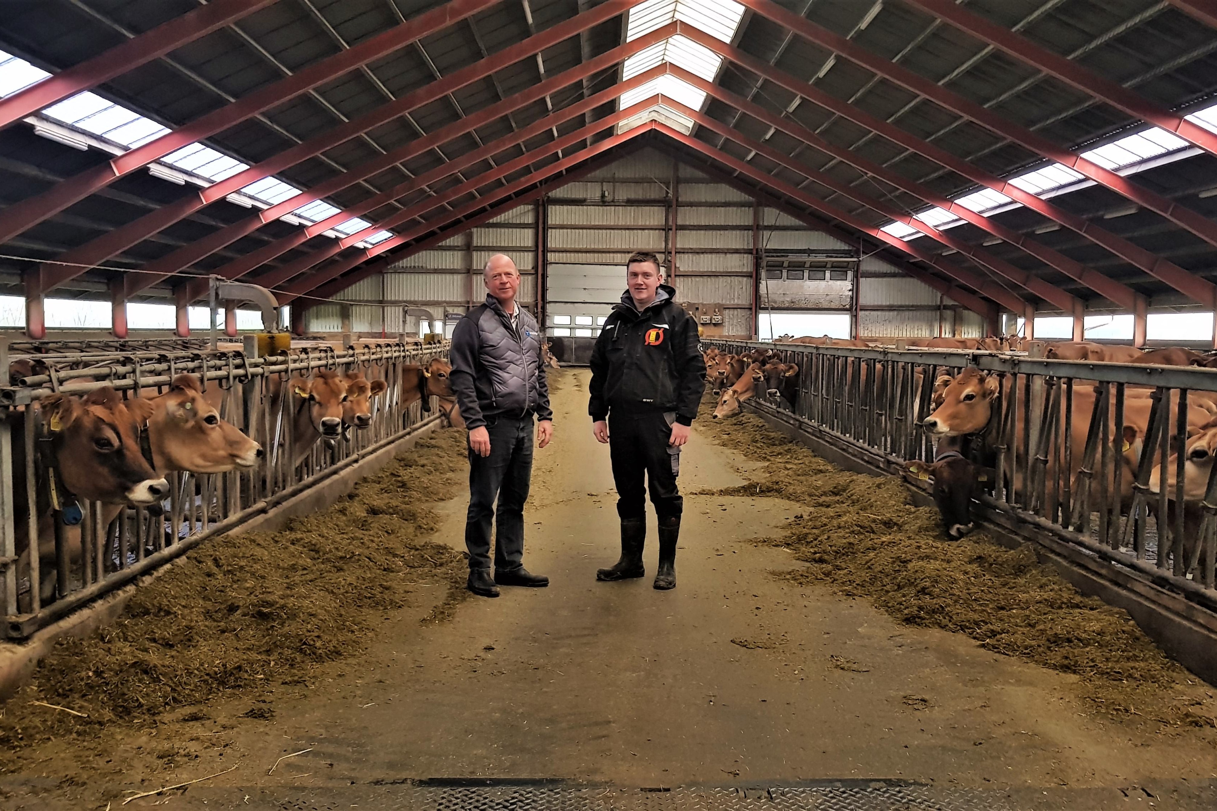 Niels Erik Nilsson og Thomas Malmkjær står i en kostald med malkekøer på hver side.