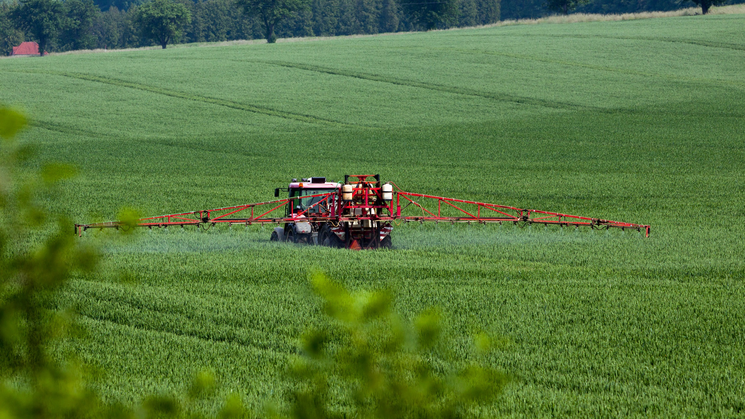 En traktor kører over en mark og sprøjter med pesticider.
