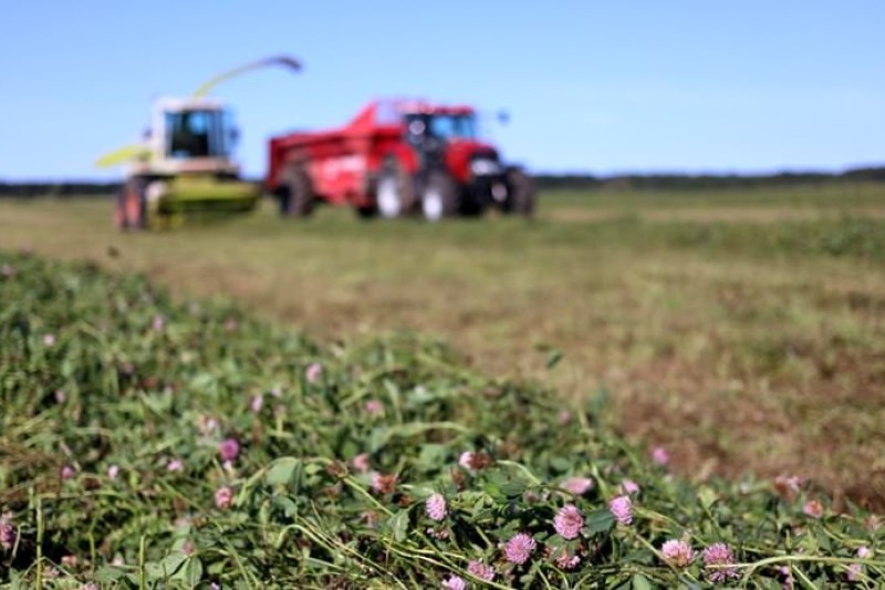 Landbrugsmaskiner kører på en mark - i forgrunden ses afgrøder
