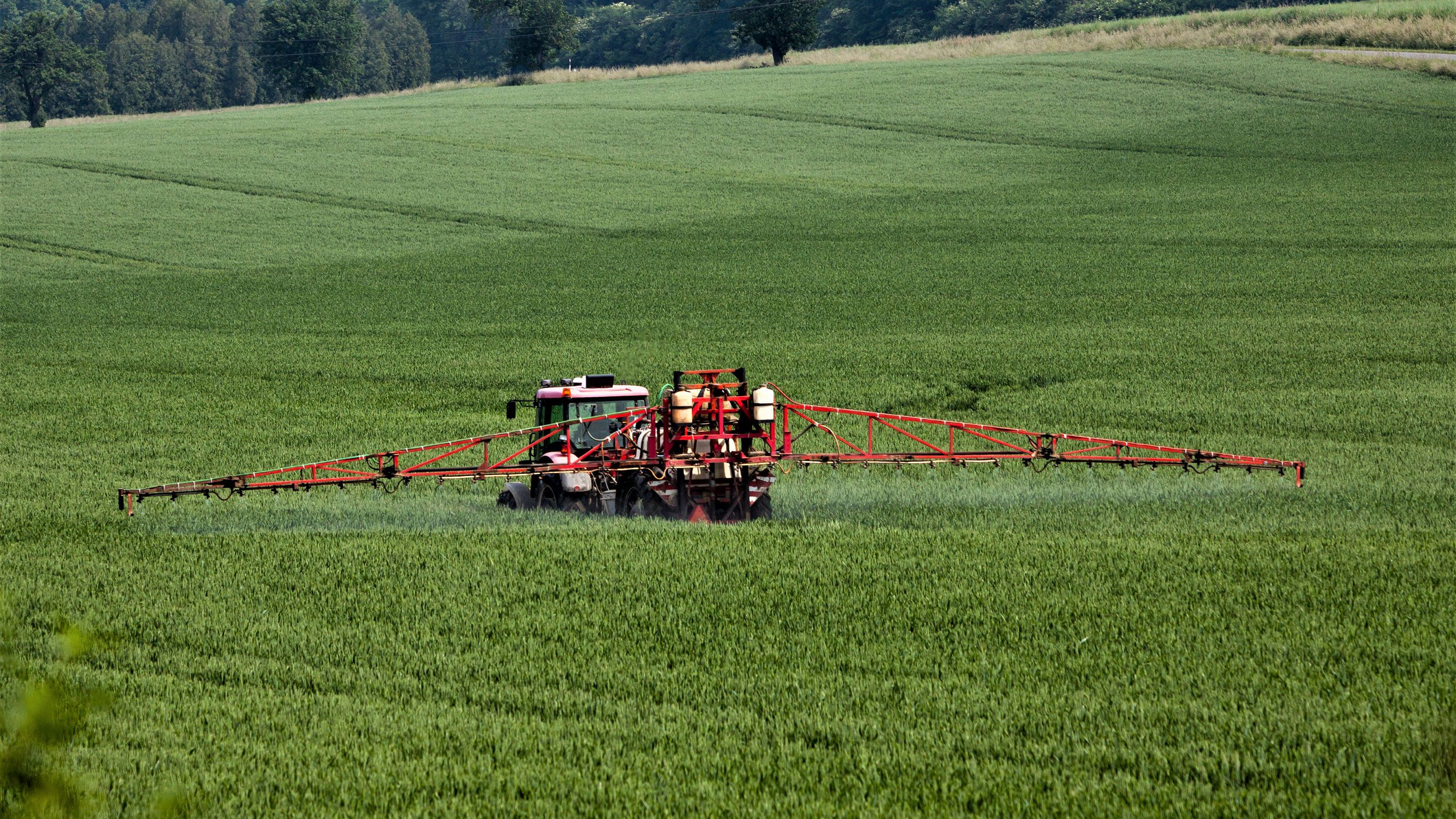 En traktor kører henover en mark, mens den sprøjter pesticider på afgrøderne.