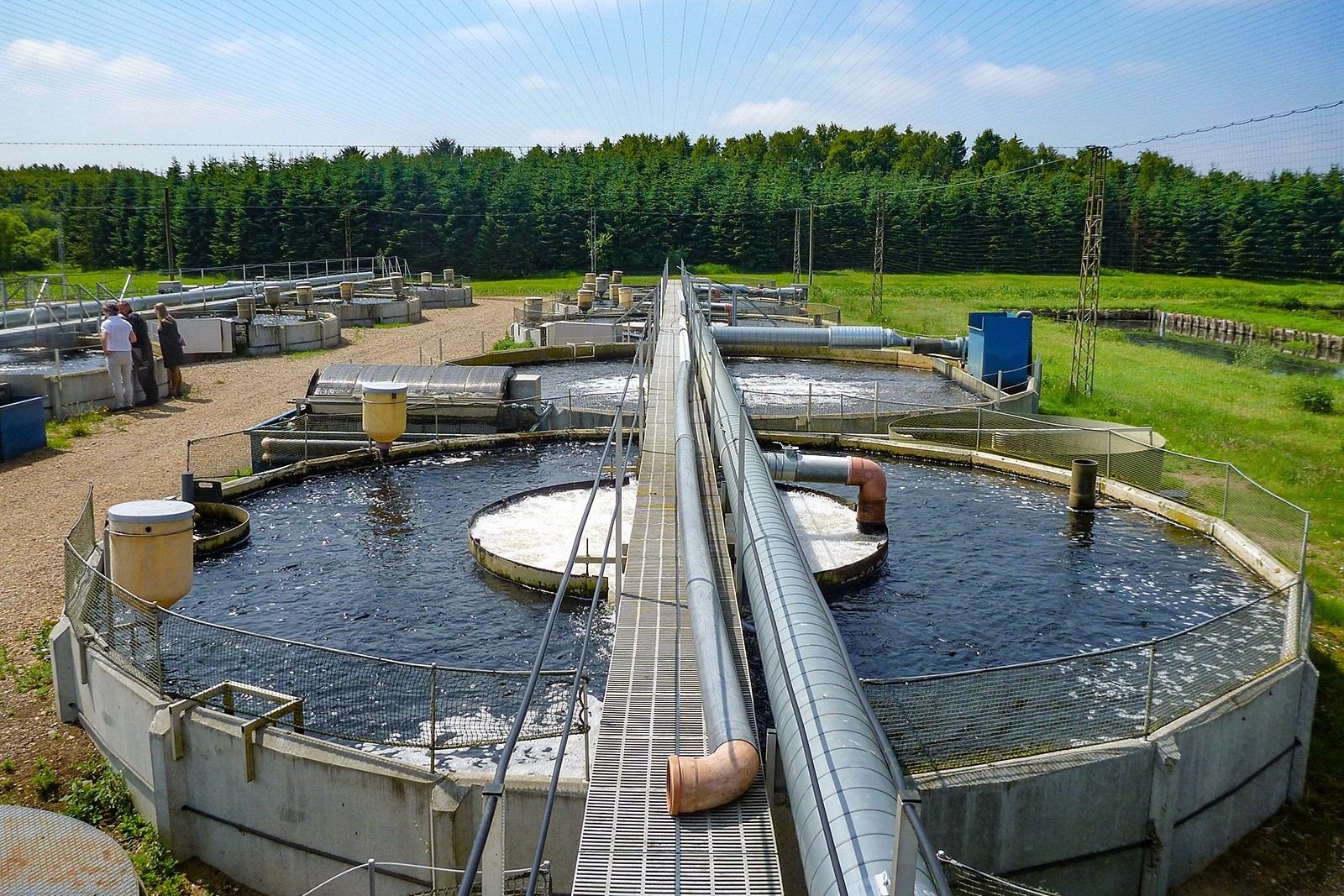 Oversigt over modeldambrug
