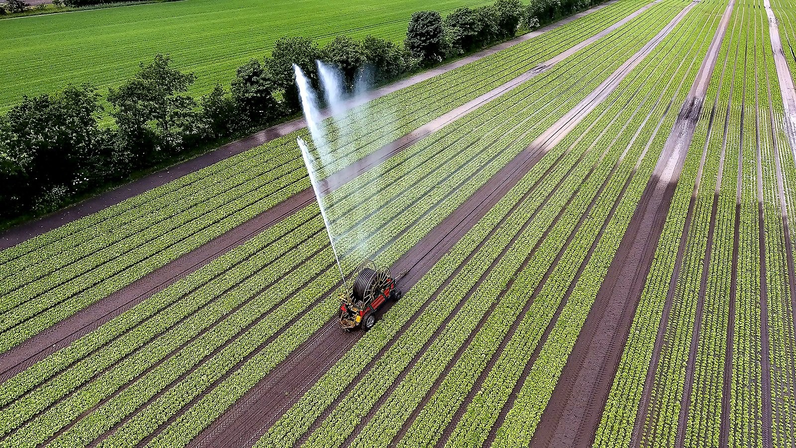 Vandingsanlægget i arbejde i marken