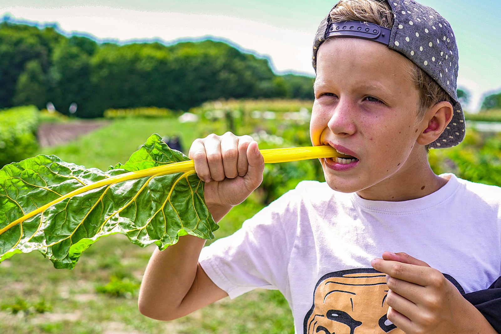 Dreng gnaver i grøntsager i skolehave