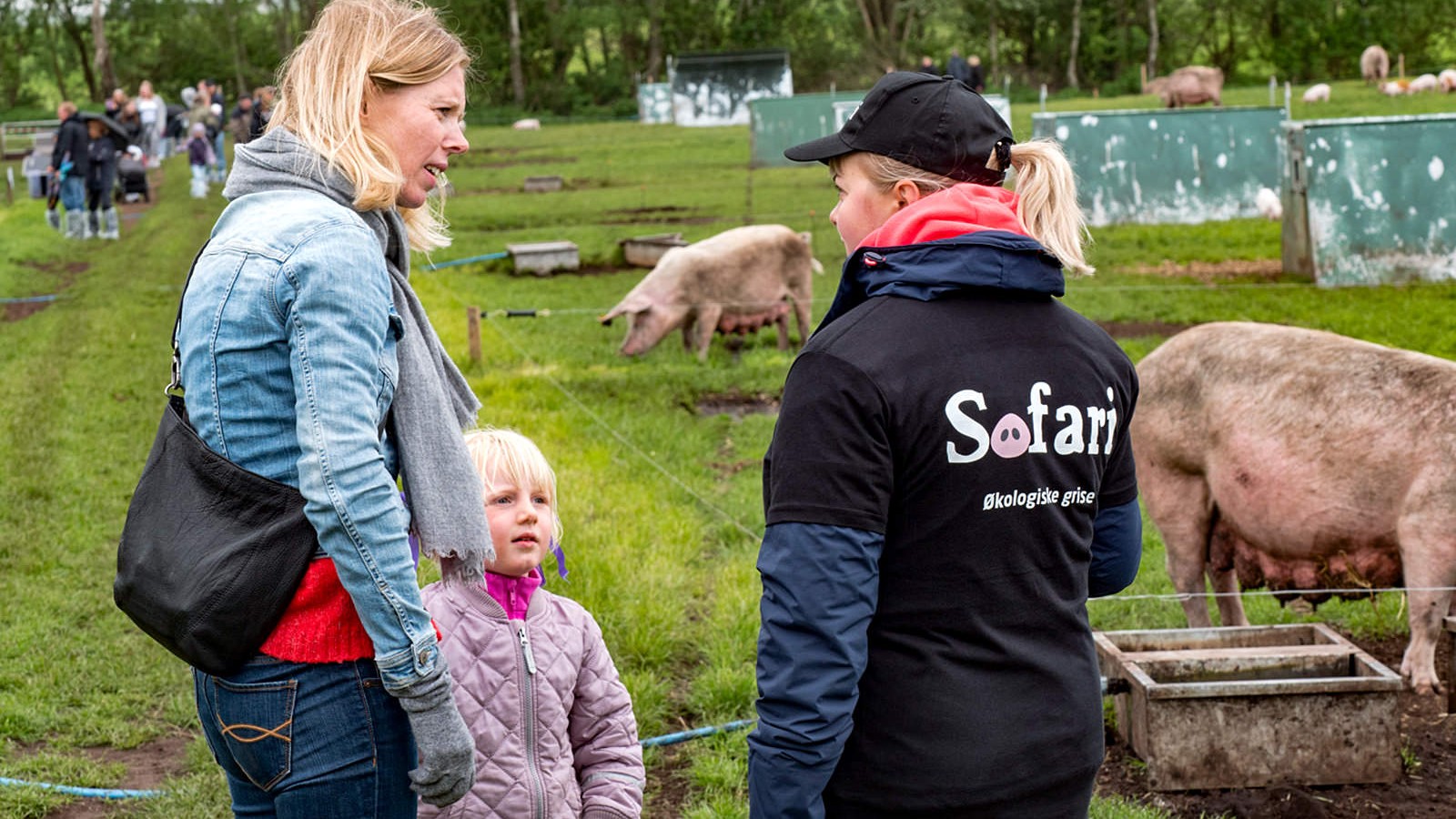 Mor og datter hører om grisenes liv og levned lige ved siden af dem i marken