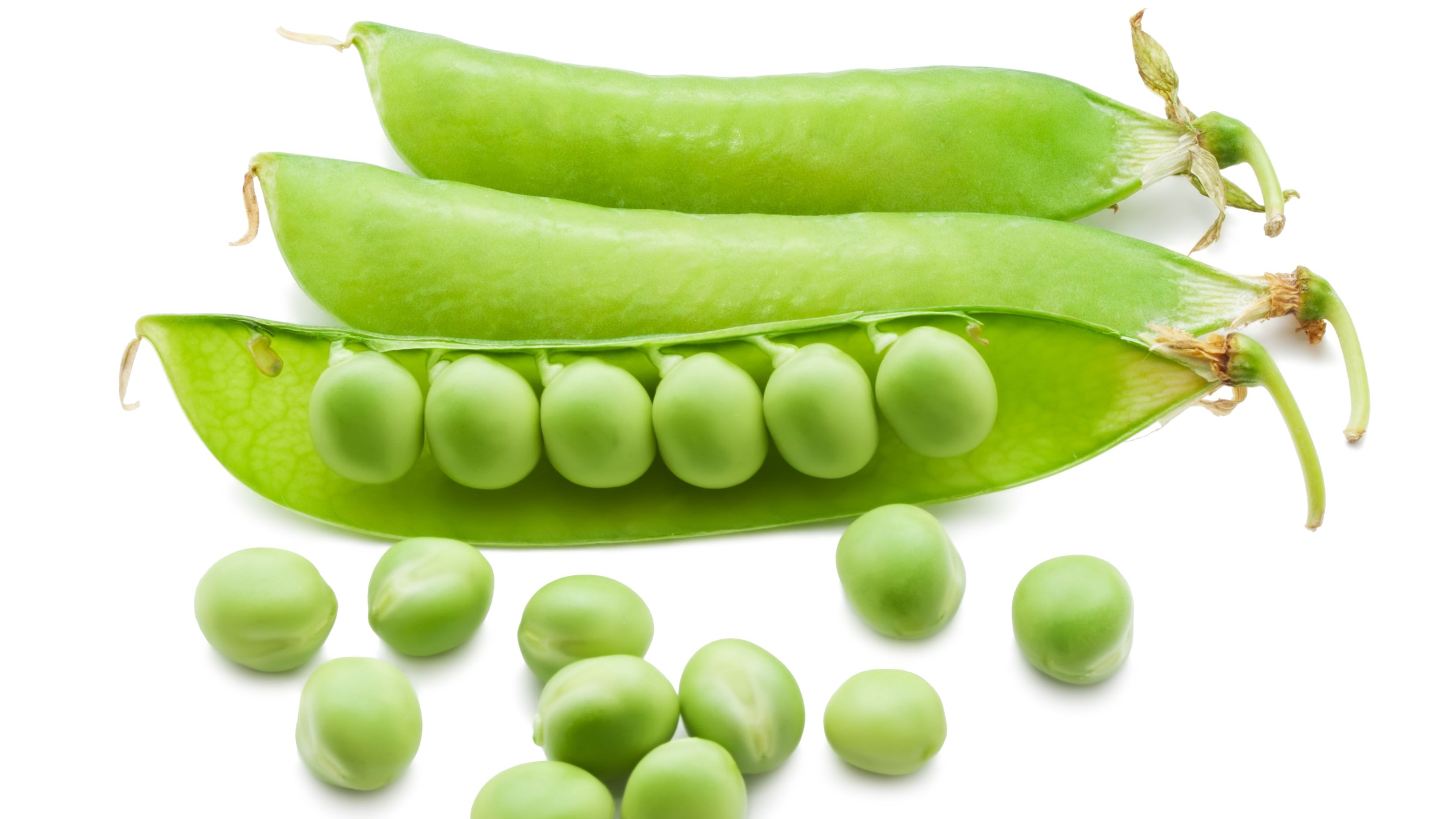 Ærtebælg