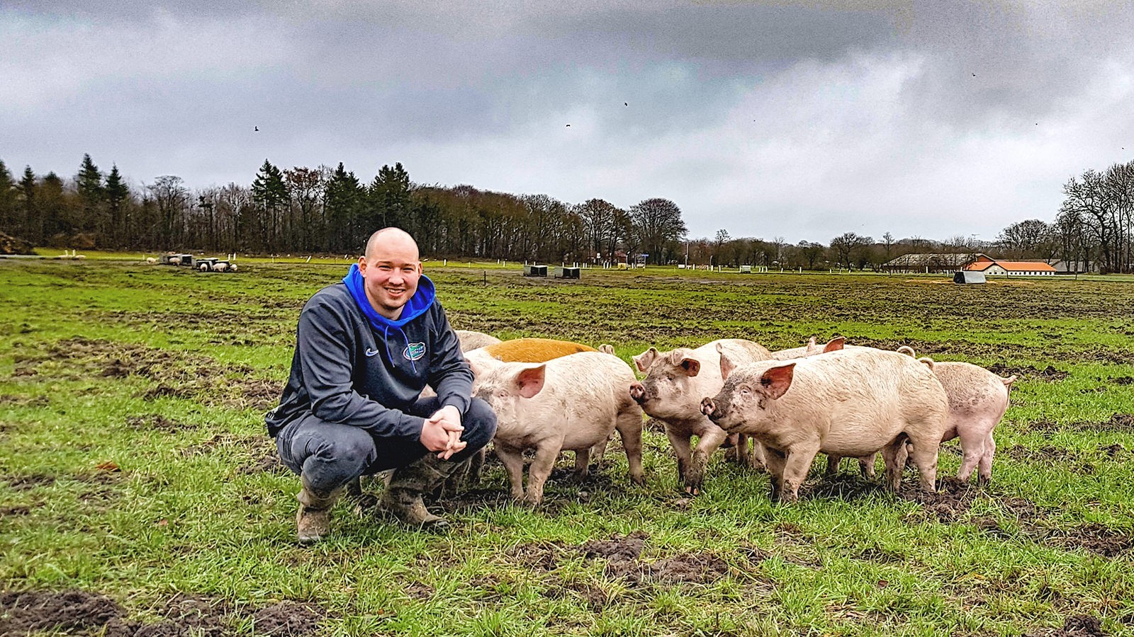 Grisene kommer nysgerrigt hen til Allan Thomsen