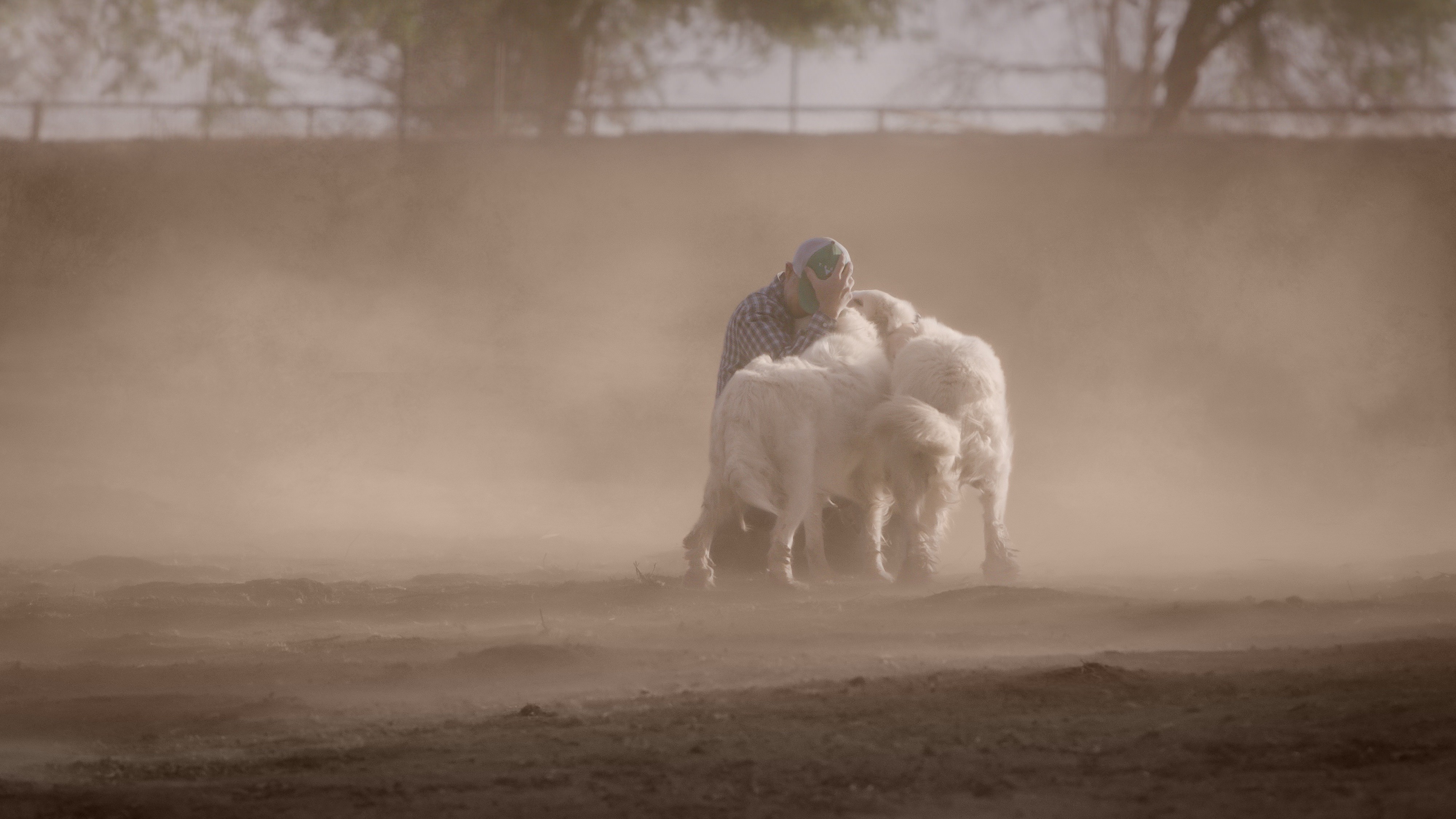 John Chester sidder med sine hunde fanget i en kraftig storm.