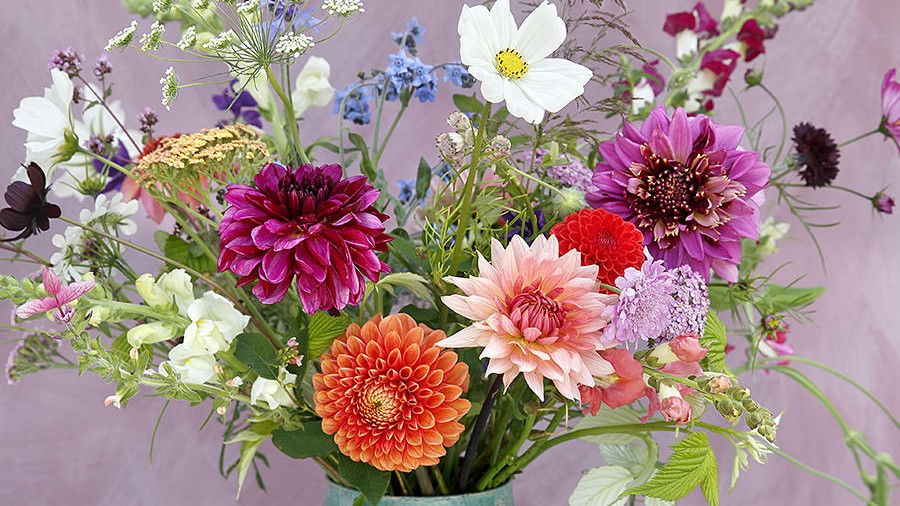 De økologiske blomster spirer | Økologisk - nyt om udviklingen