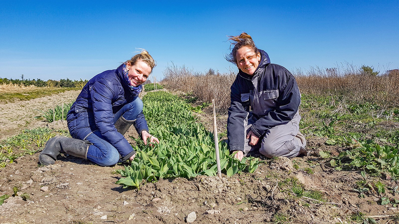 Christina Foss og Marie Holmer i marken