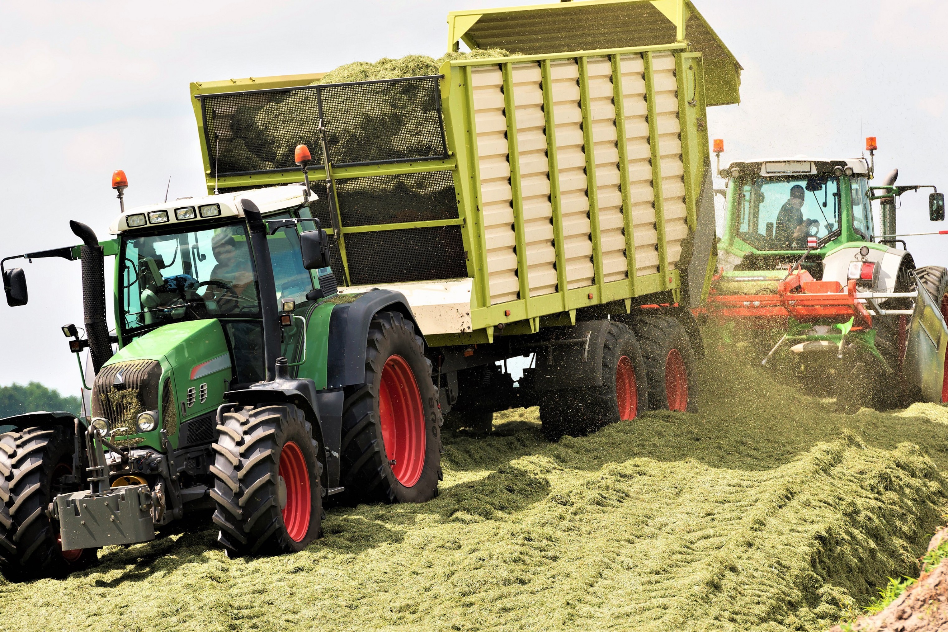 To traktorer læsser græsensilage af