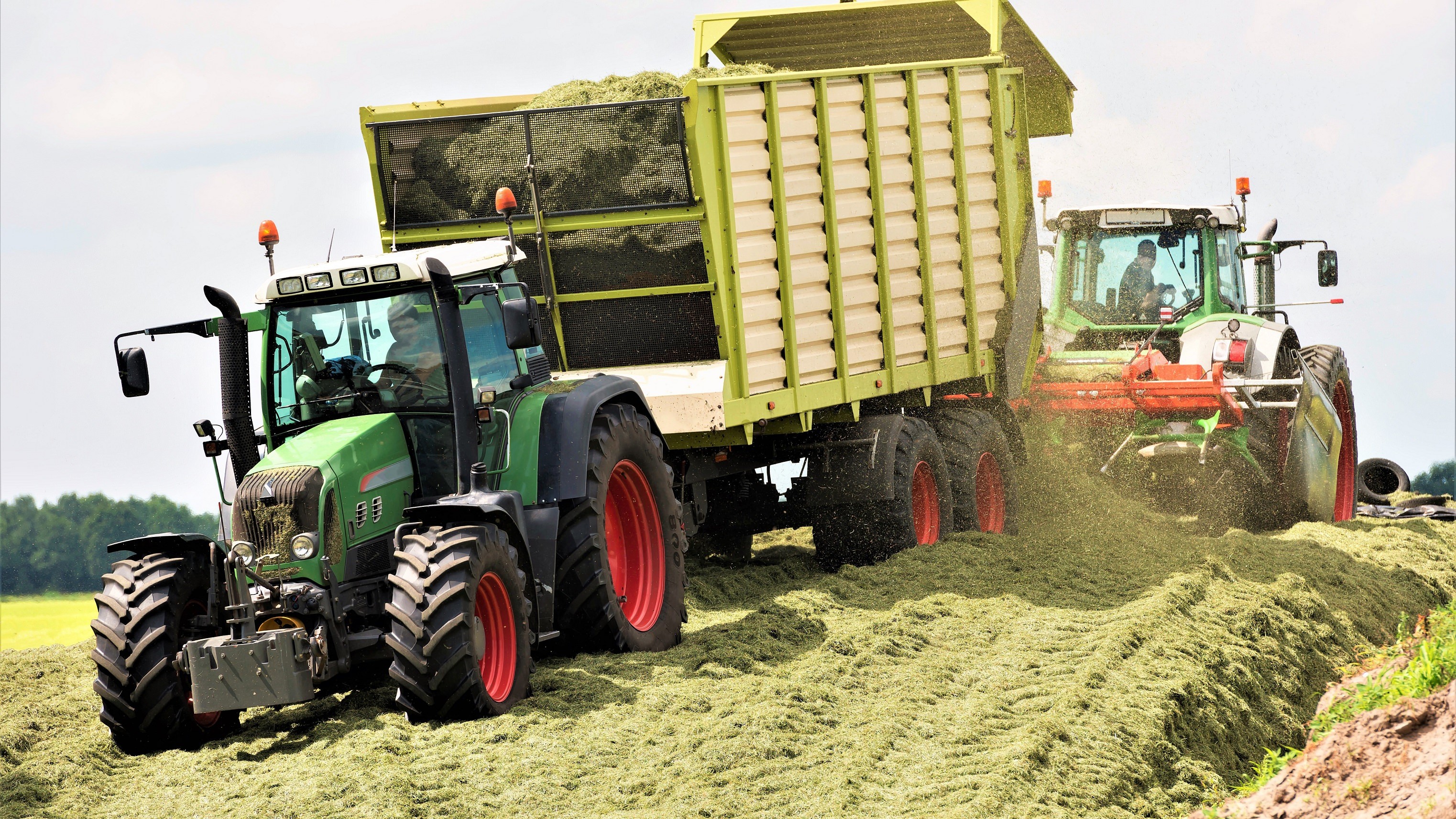 To traktorer læsser græsensilage af