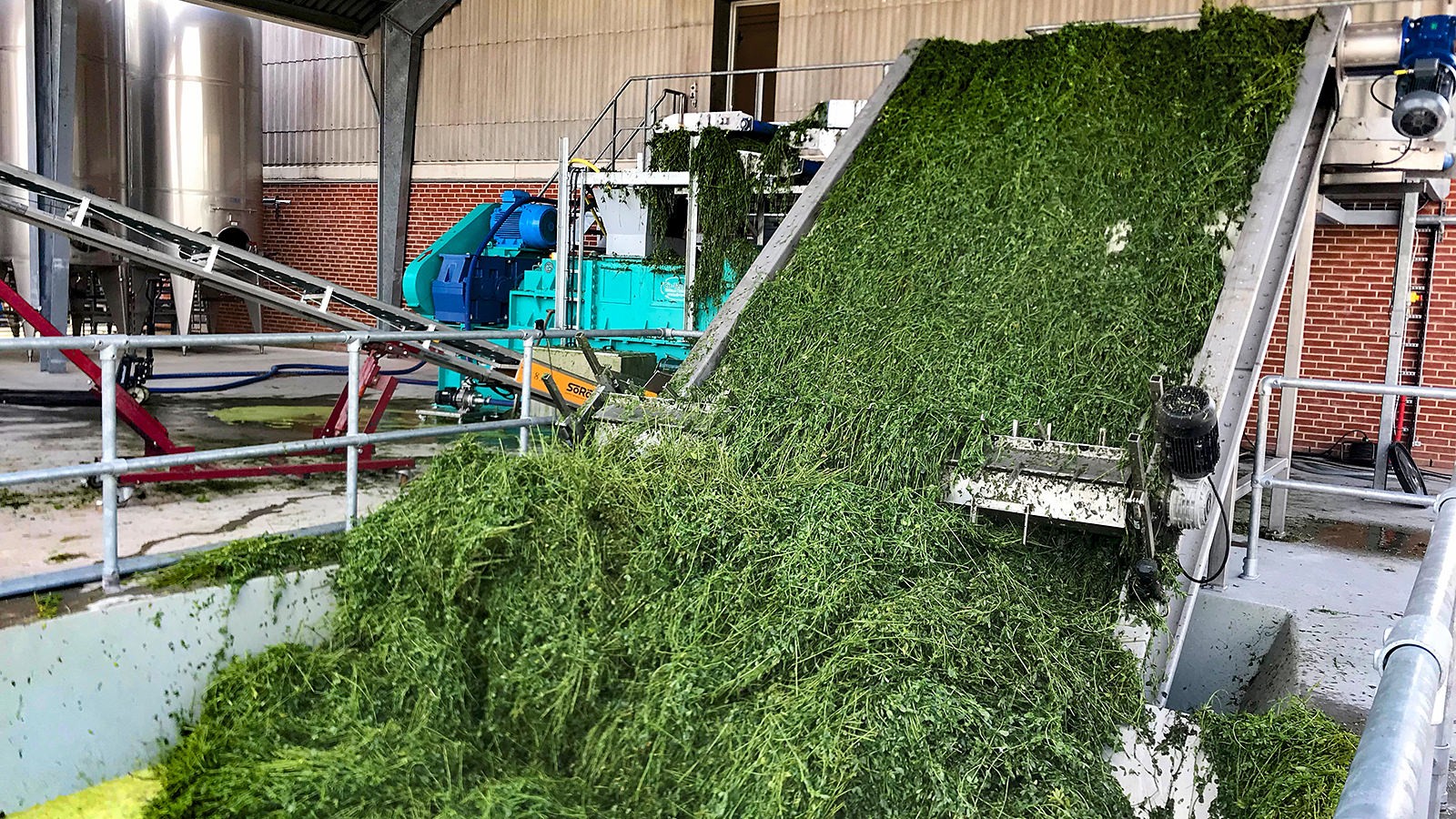 Skrue-presse, hvorved græsset deles i saft og fiberkage.