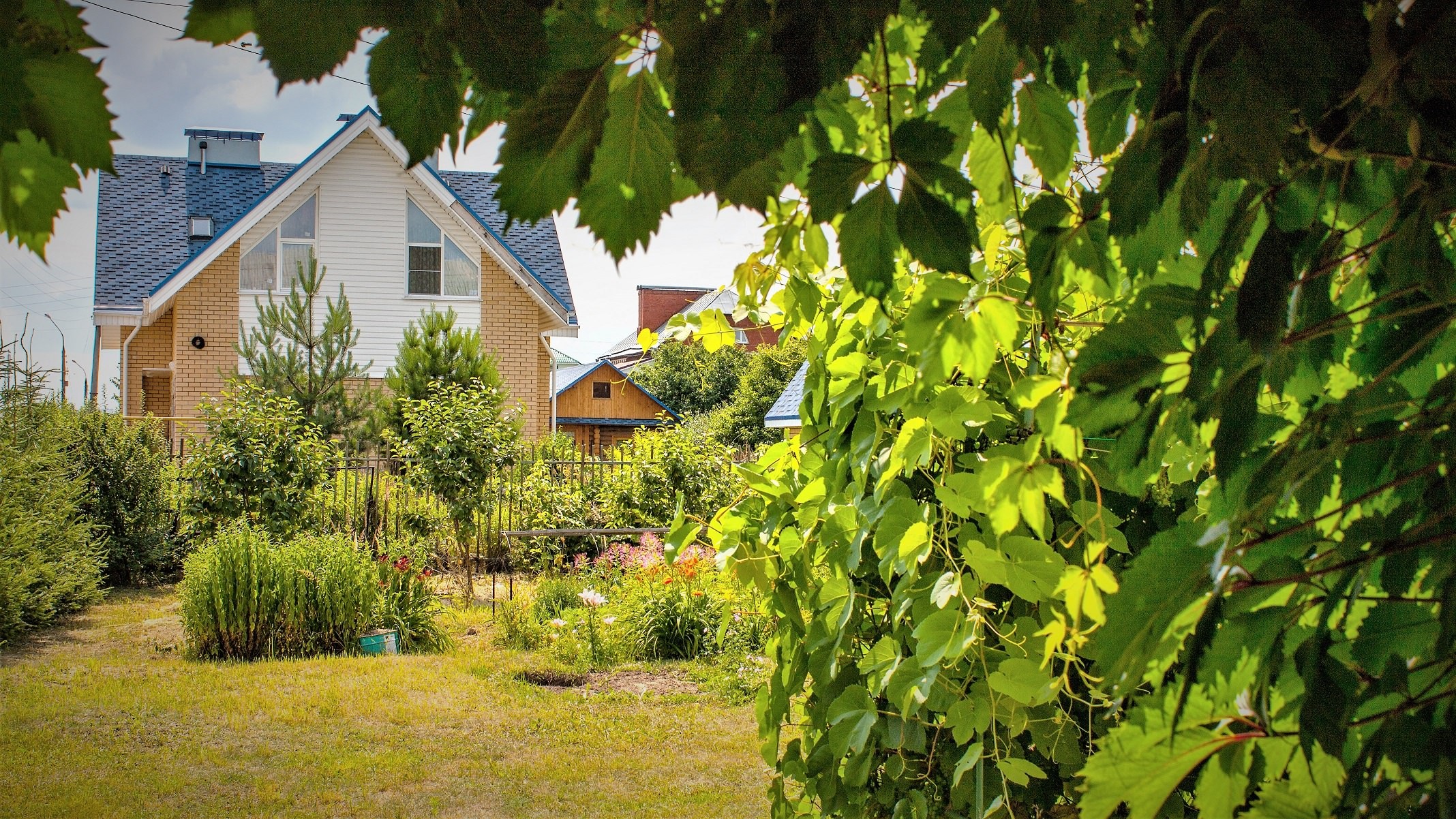 En have med et hus i baggrunden