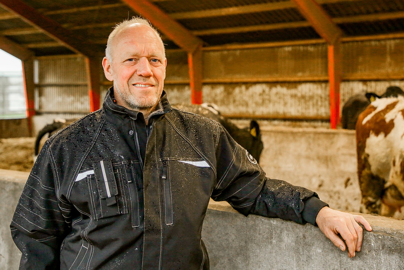 Jens Krogh i stalden