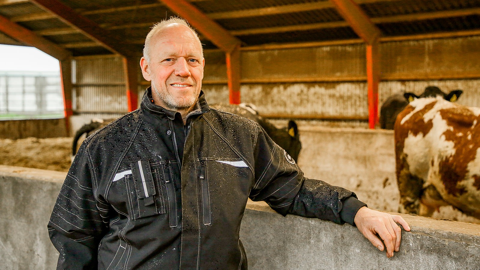 Jens Krogh i stalden