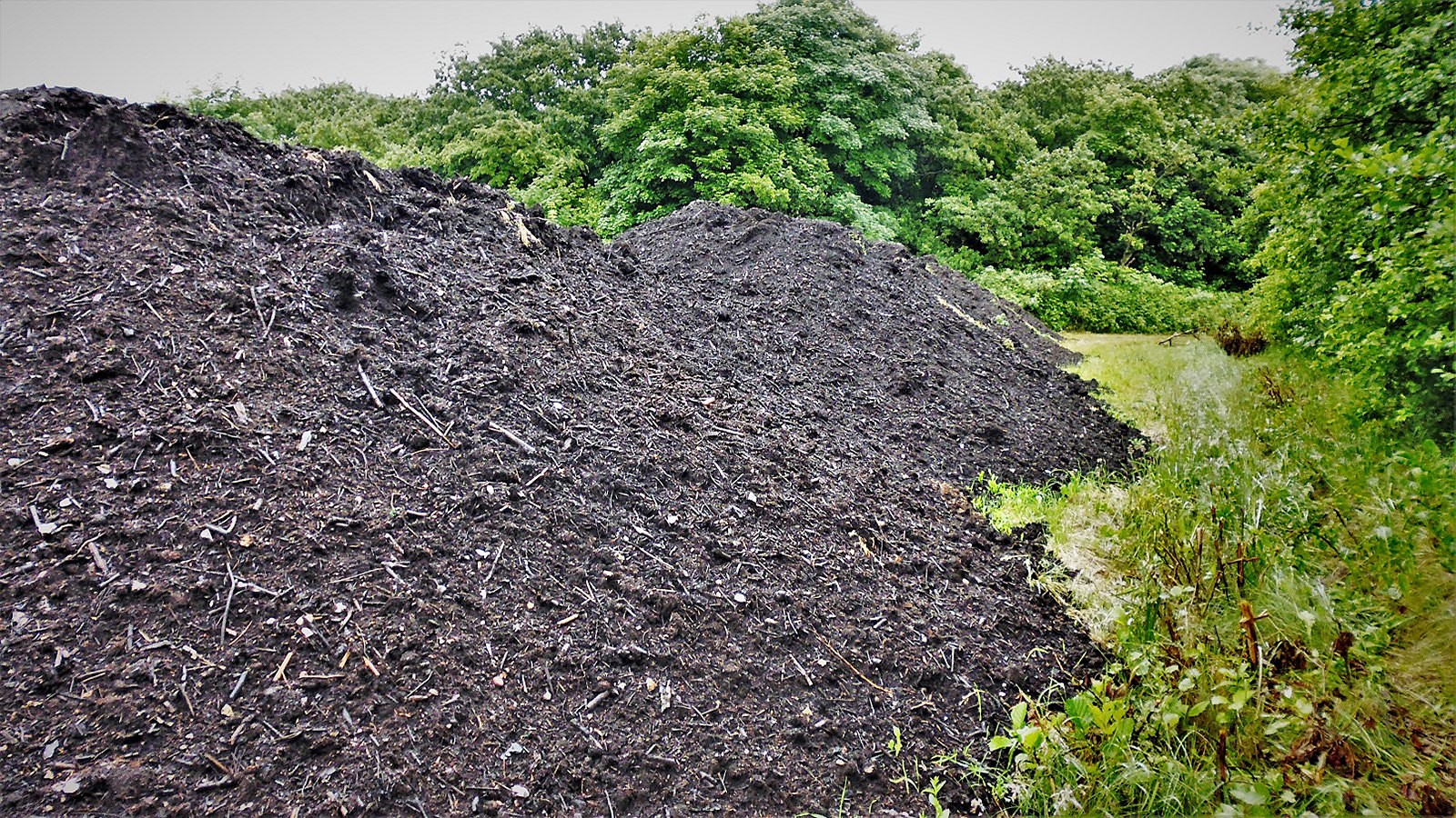 Komposteret have-parkaffald