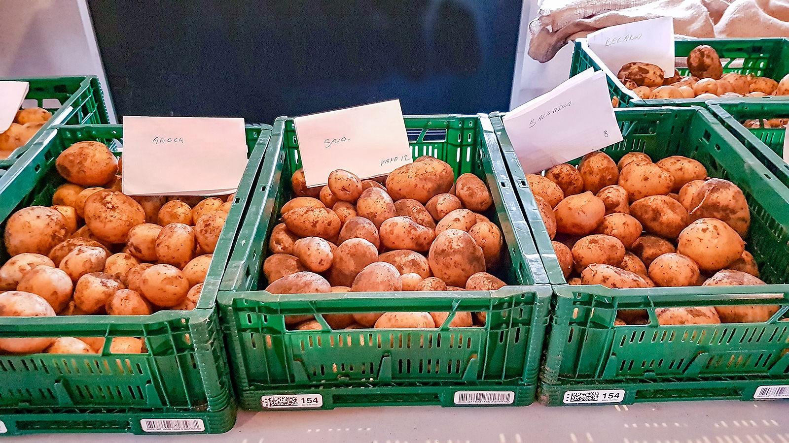 Forskellige sorter kartofler i kasser