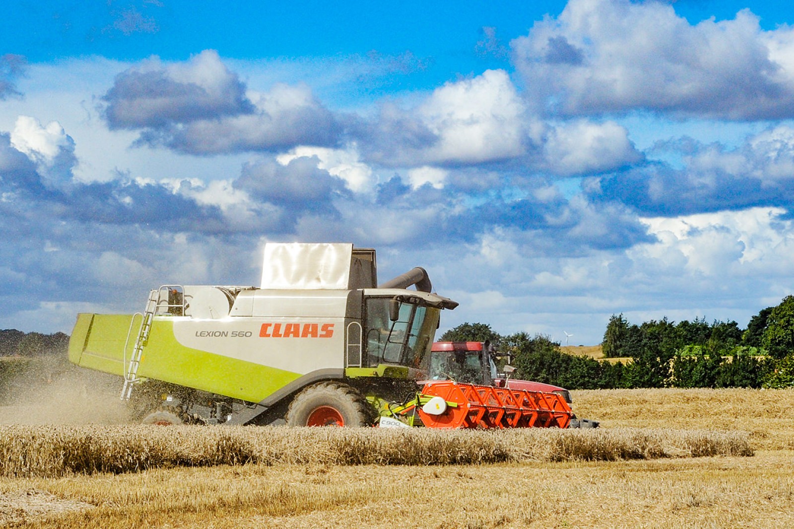 Mejetærsker i kornmark