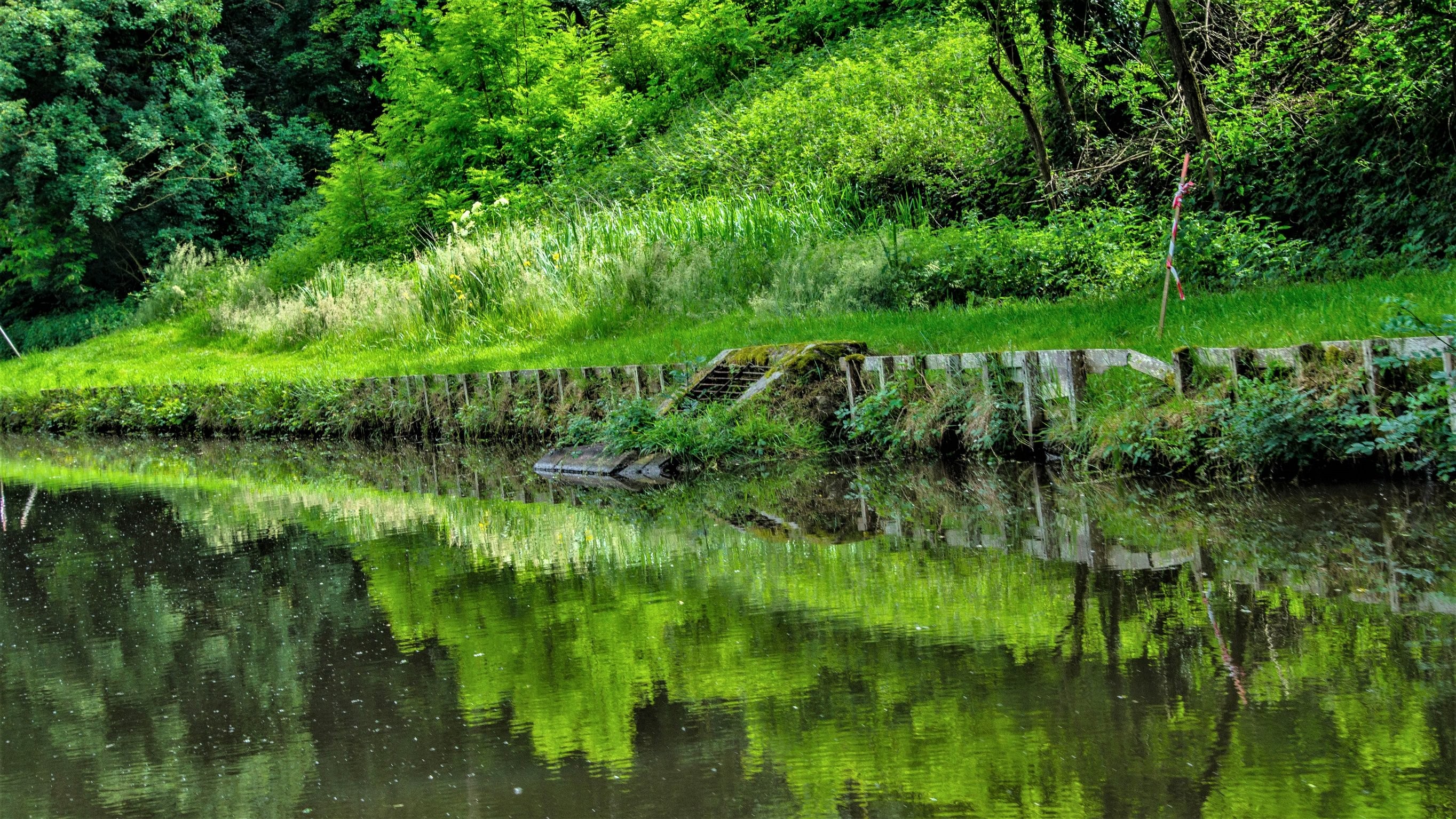 En vandvej ved en skov i Frankrig