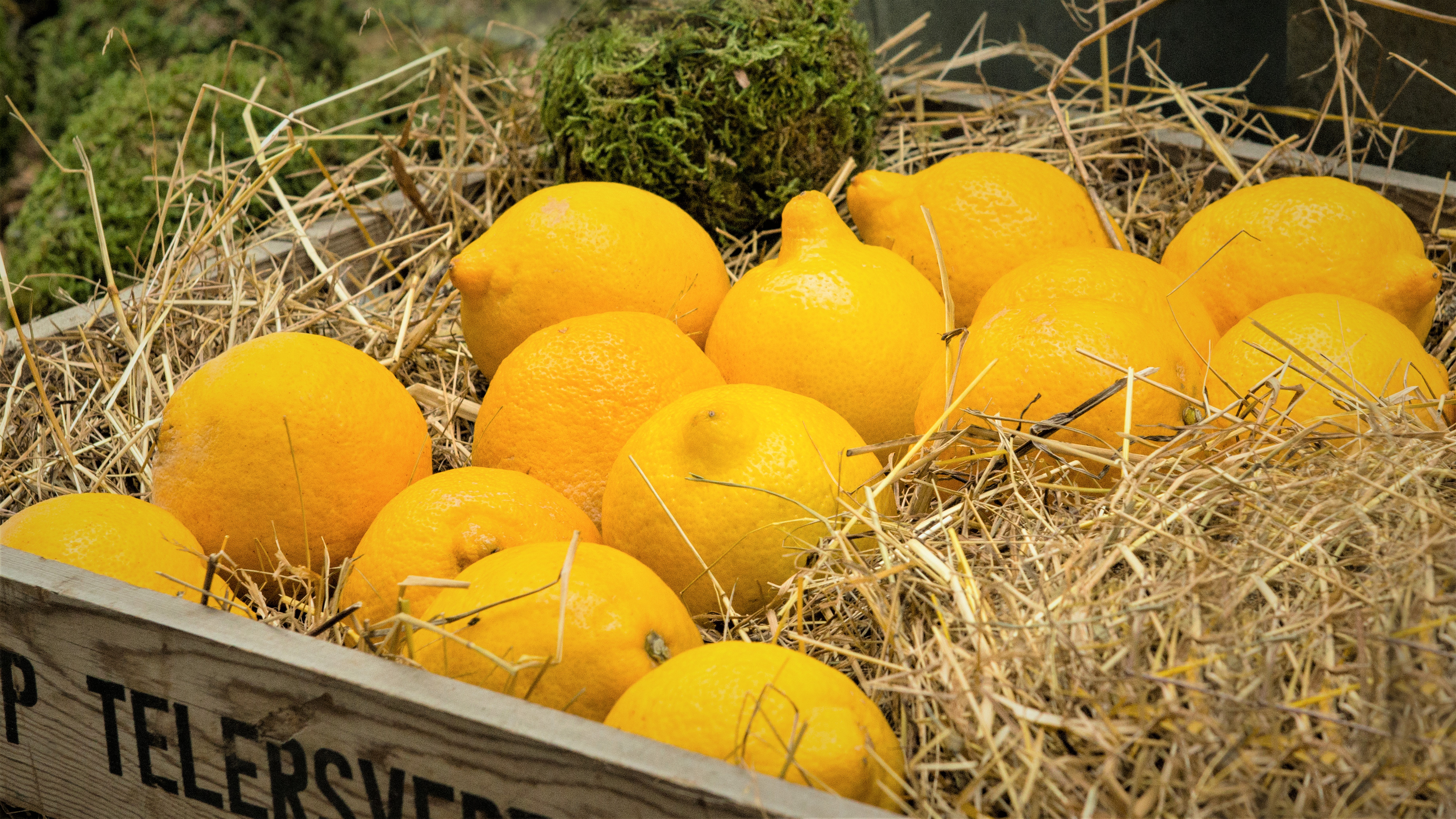 Citrusfrugter ligger i halm i en kasse