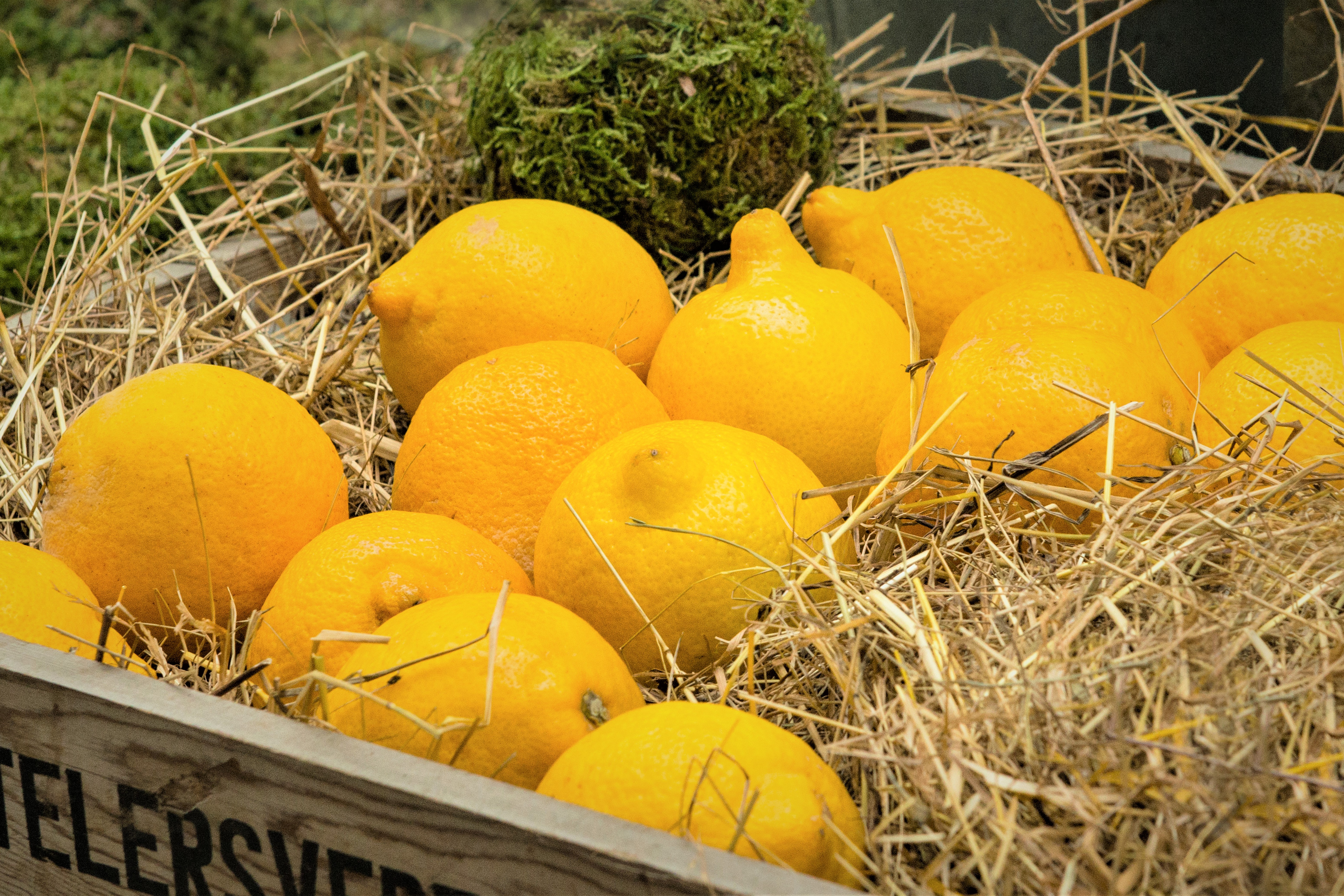 Citrusfrugter ligger i halm i en kasse