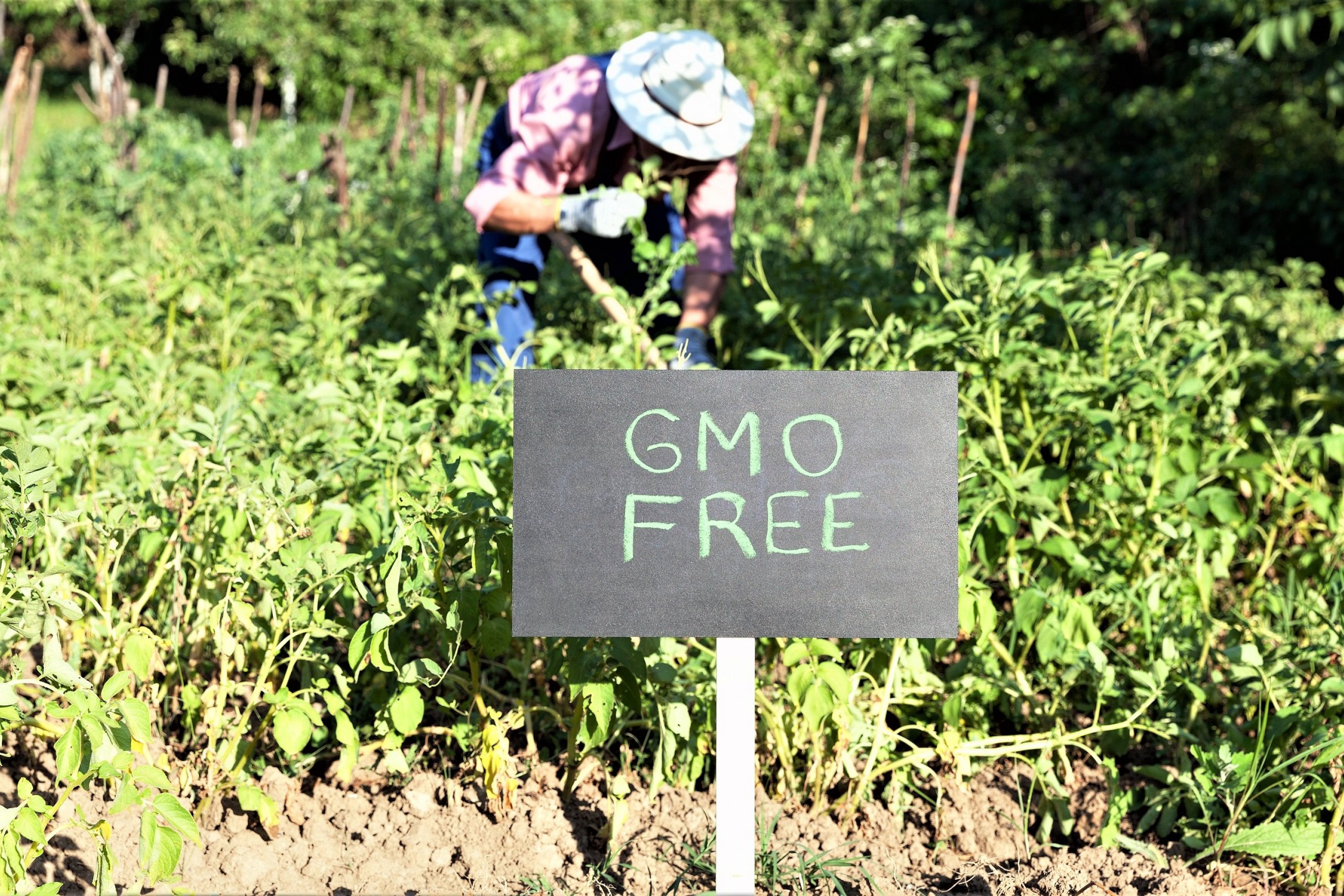 En landmand står i sin mark bag et skilt med teksten