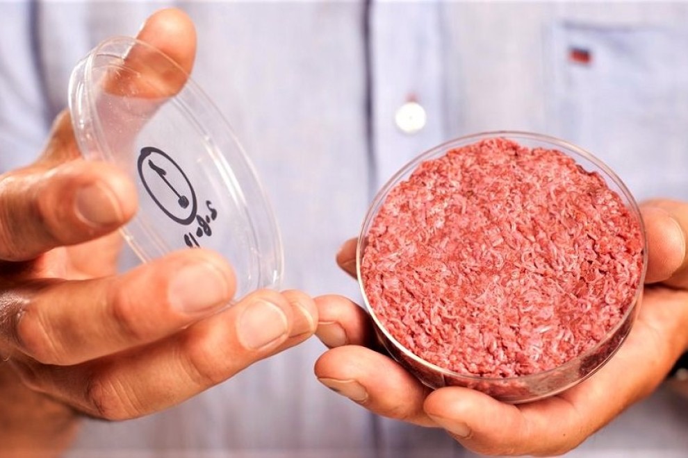 En person viser hakket in vitro-kød