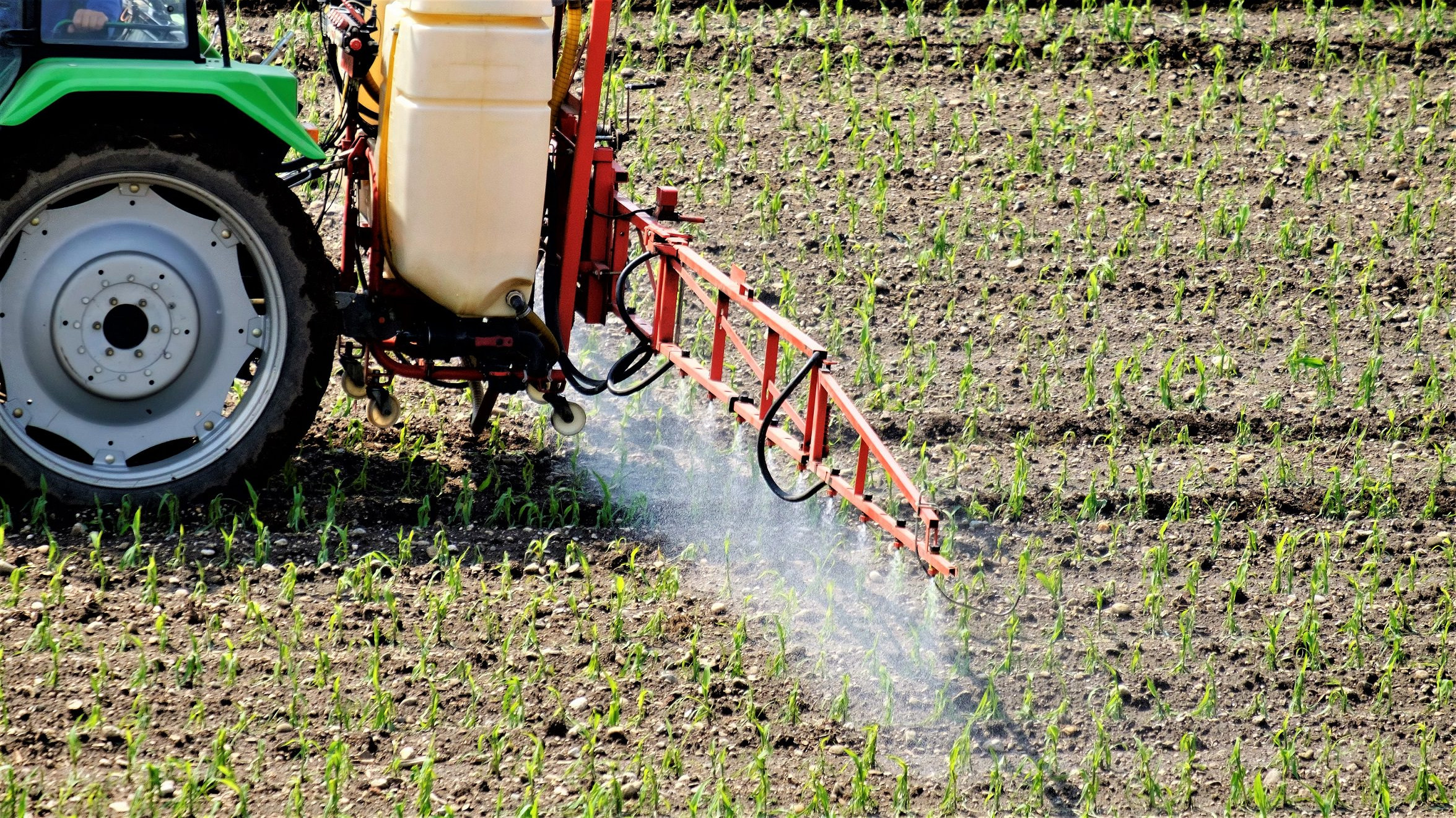En traktor kører på en mark og sprøjter afgrøderne med pesticider