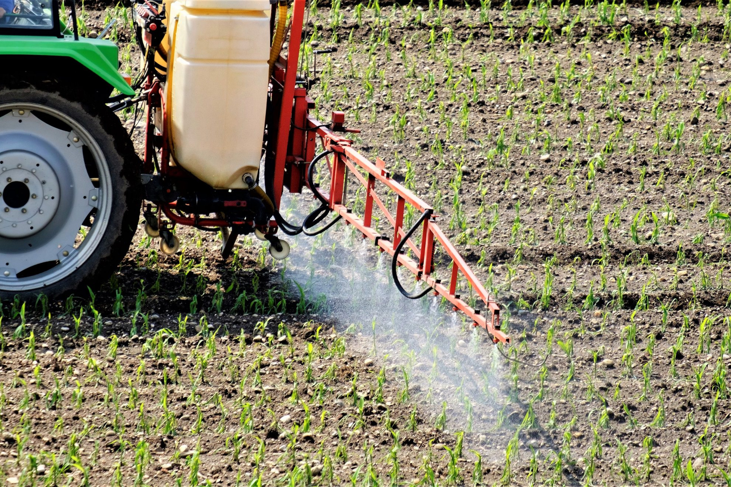 En traktor kører på en mark og sprøjter afgrøderne med pesticider