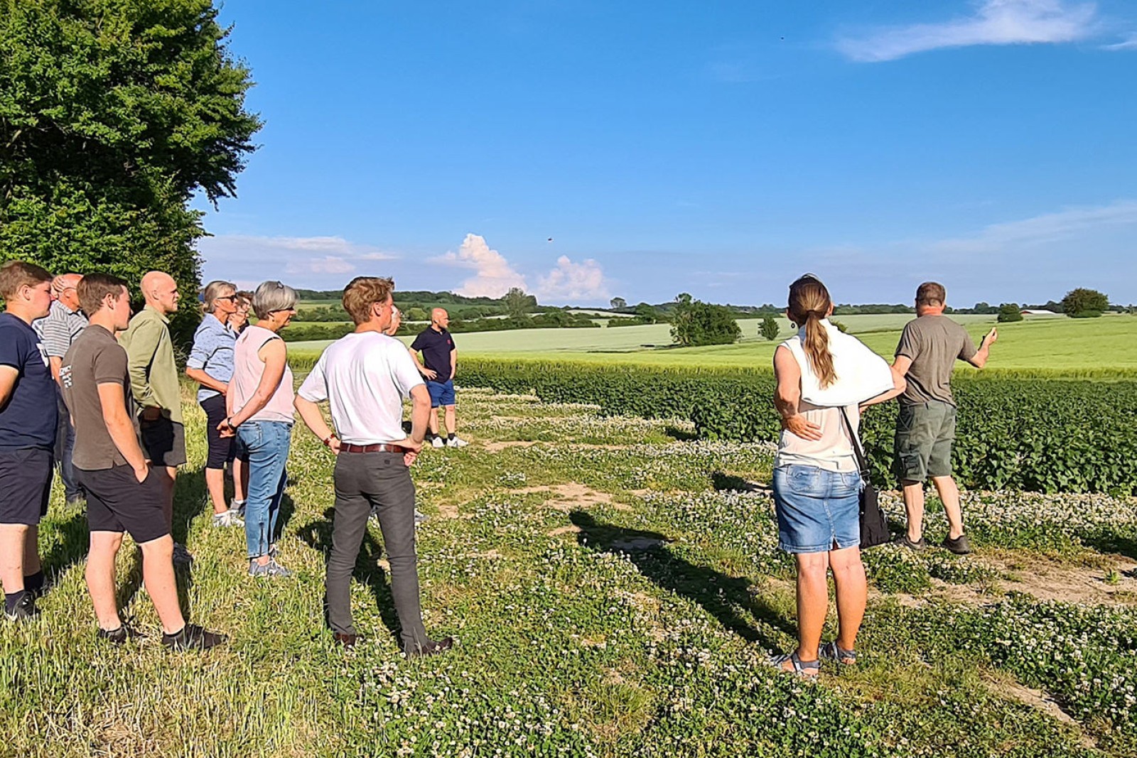 Rundvisning i marken
