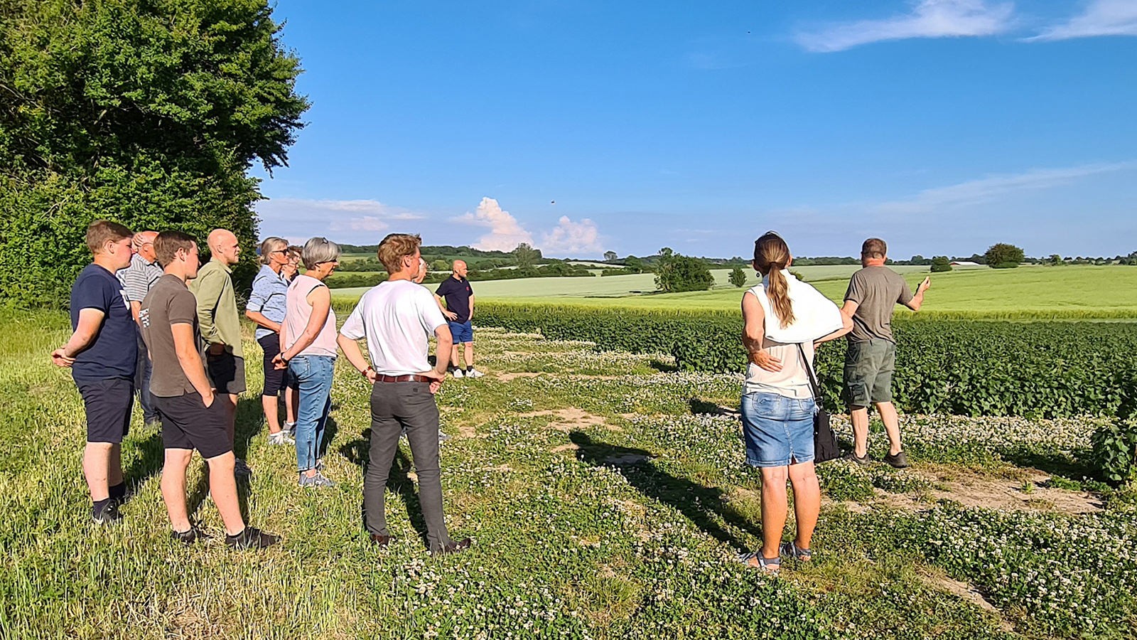 Rundvisning i marken
