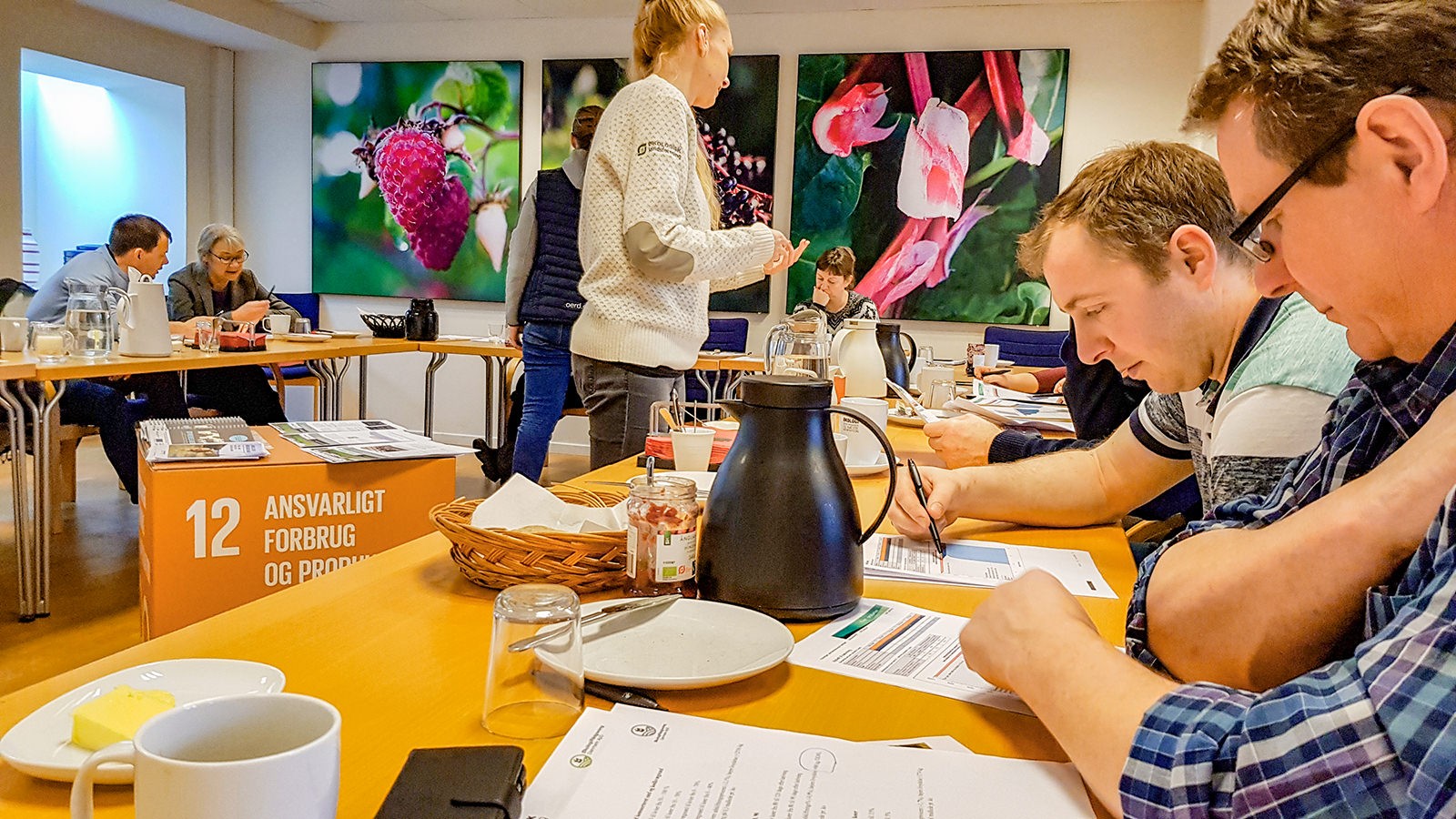 De to erfagrupper i projektet ’Længe leve den økologiske malkeko’