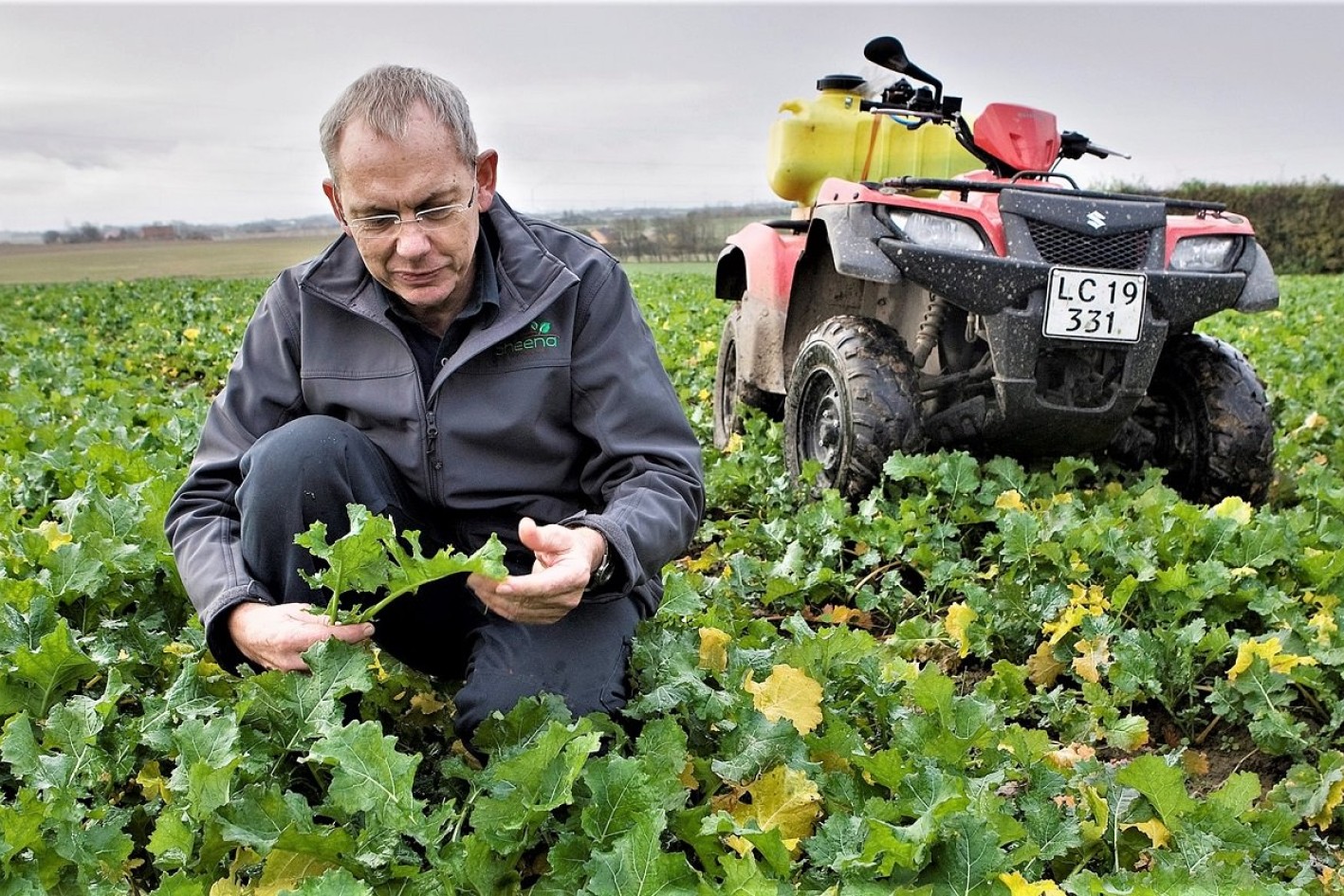 Martin Merrild sidder i marken og ser på en plante